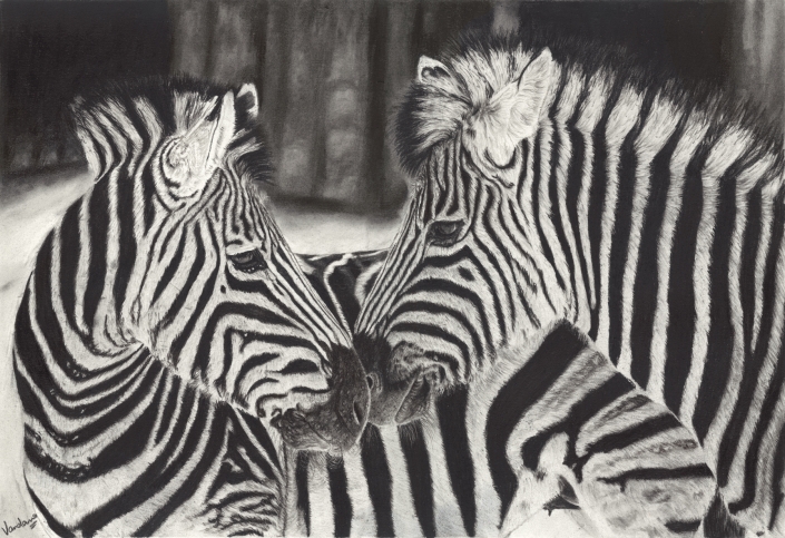 Where Stripes Meet
