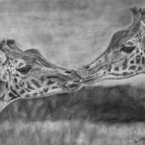 Giraffes - Touch of Love
