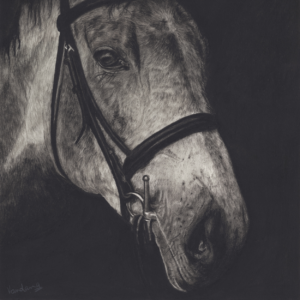 Serenity in Horse's Strength
