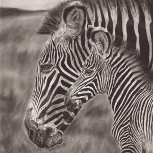In Mother's Stripes