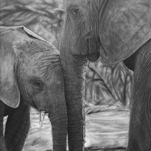 Maternal Bond - Elephant Pair