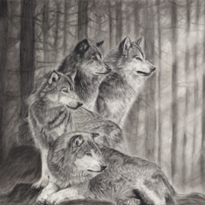 Power of the Pack