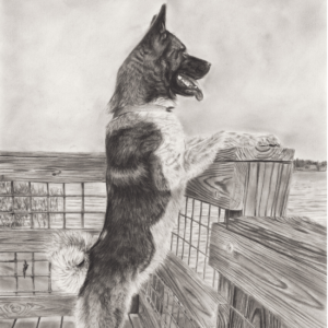Skye: Embracing the Moment