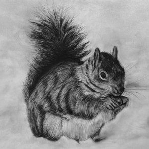 Winter's Feast: A Squirrel Delight