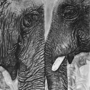 Tender Tusks: Wild Love