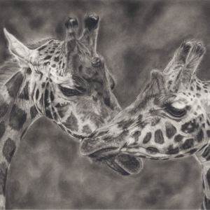 Towering Affection