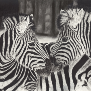 Where Stripes Meet