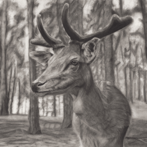 Wild Elegance: Graceful Deer